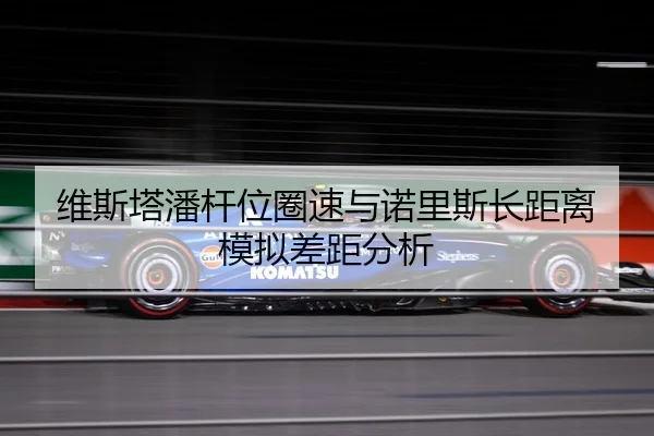 维斯塔潘杆位圈速与诺里斯长距离模拟差距分析